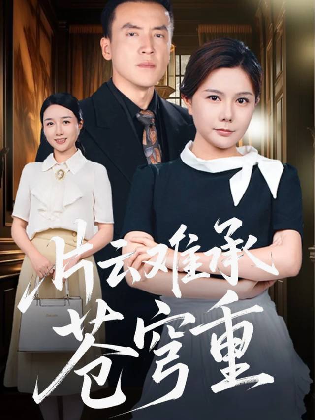片云难承苍穹重封面
