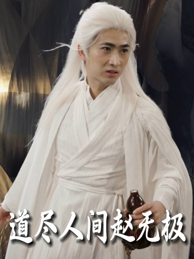 道尽人间赵无极封面