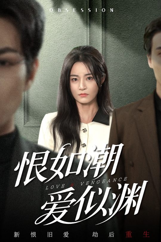 恨如潮爱似渊封面