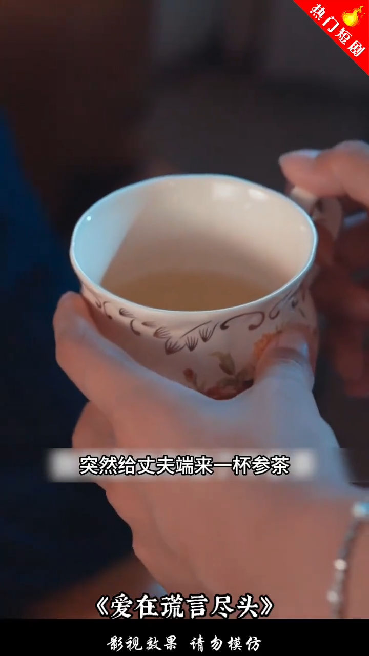 爱在谎言尽头封面