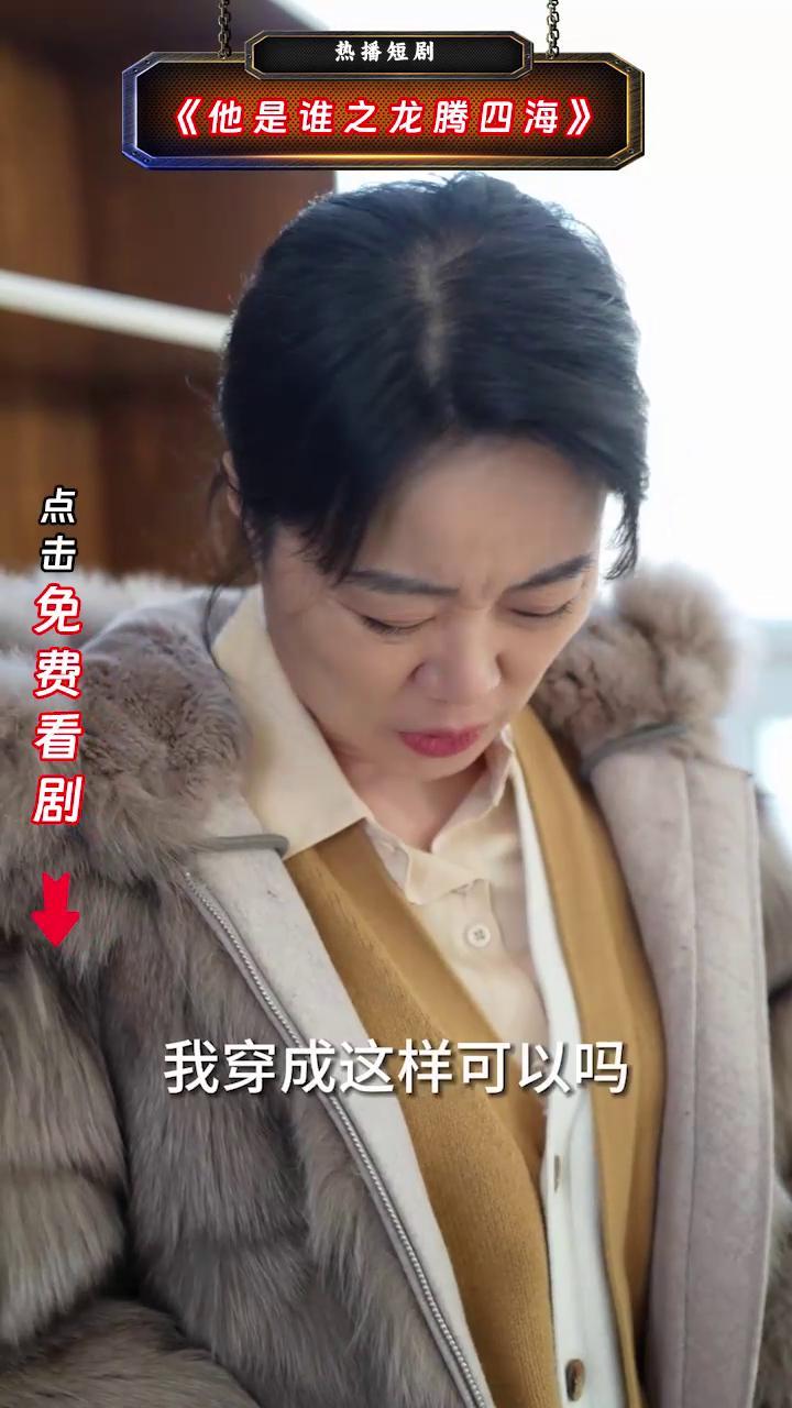 他是谁之龙腾四海封面
