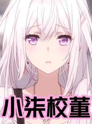 小柒校董封面