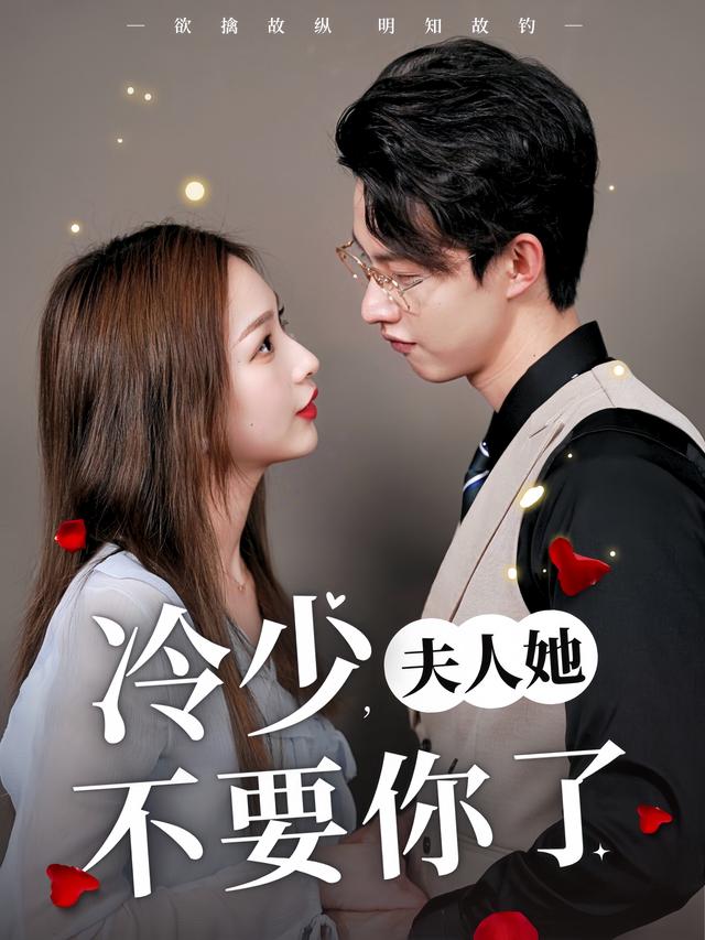 冷少,夫人她不要你了封面