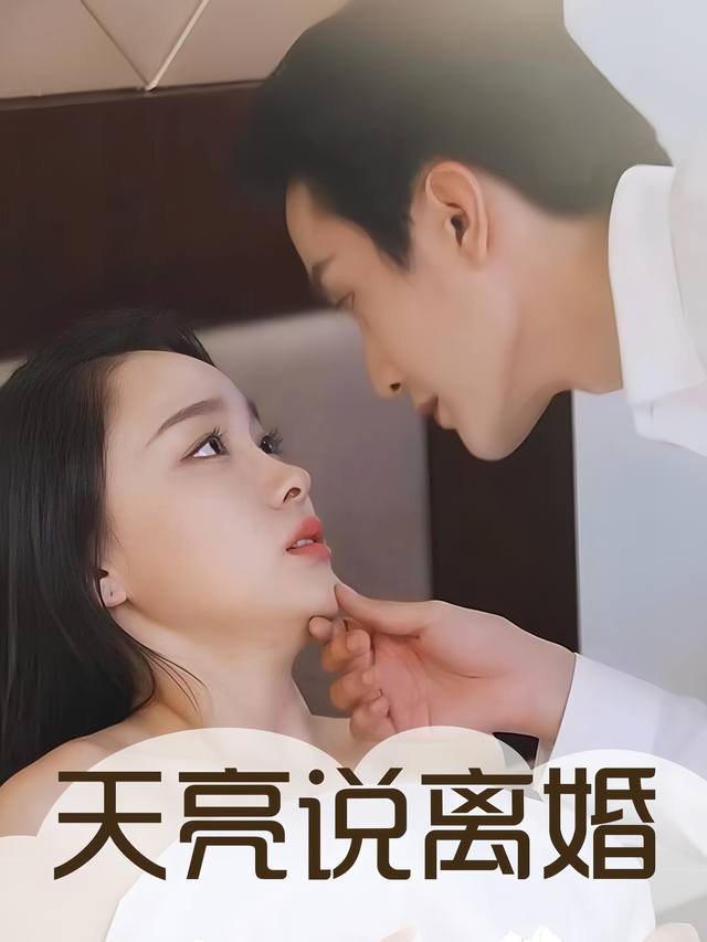 天亮说离婚封面