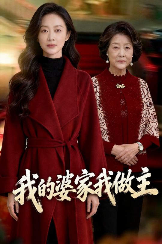 我的婆家我做主封面