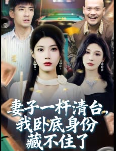 妻子一杆清台,我卧底身份藏不住了封面