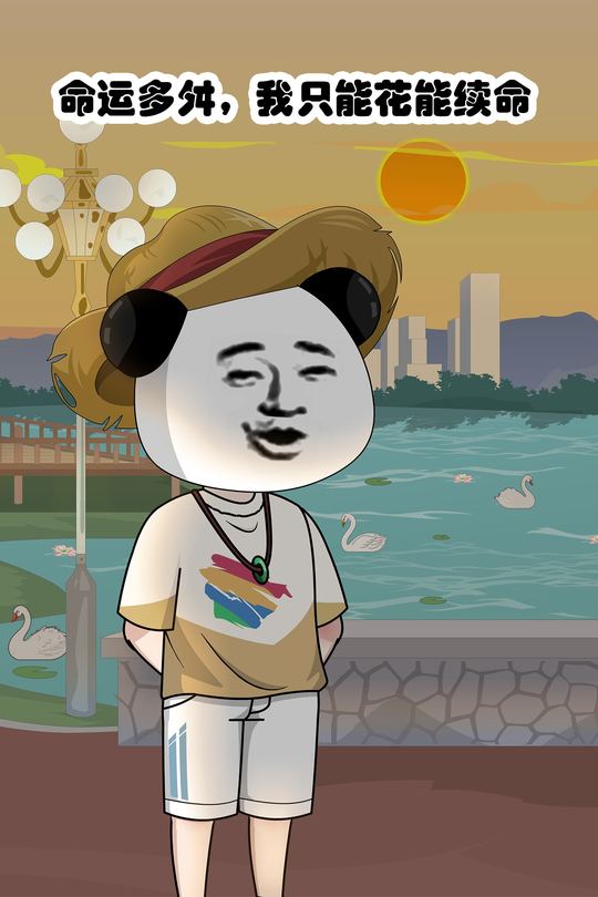 命运多舛,我只能花能续命封面