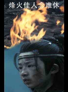 烽火佳人念难休封面