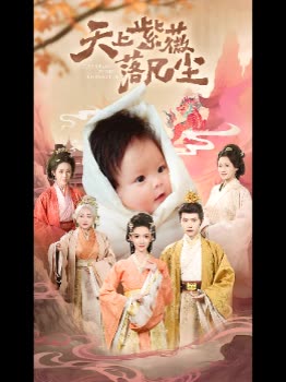 天上紫薇落凡尘封面