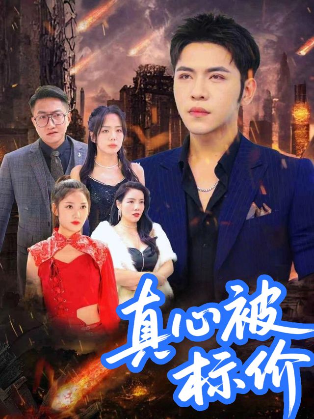 真心被标价封面