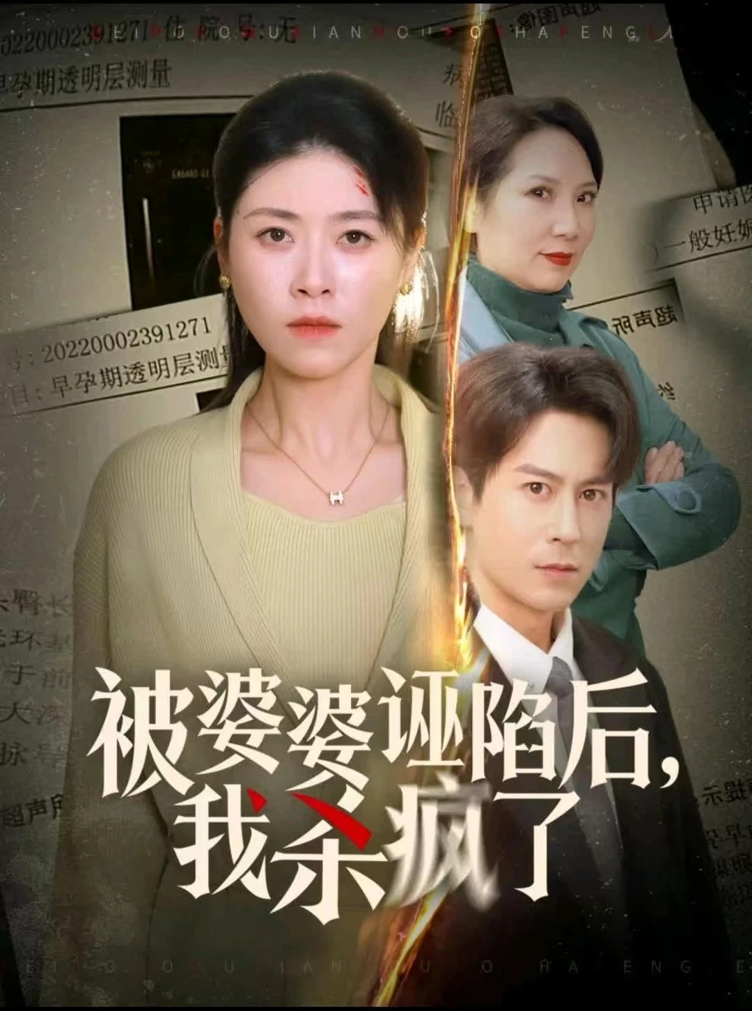 被婆婆诬陷后我杀疯了封面
