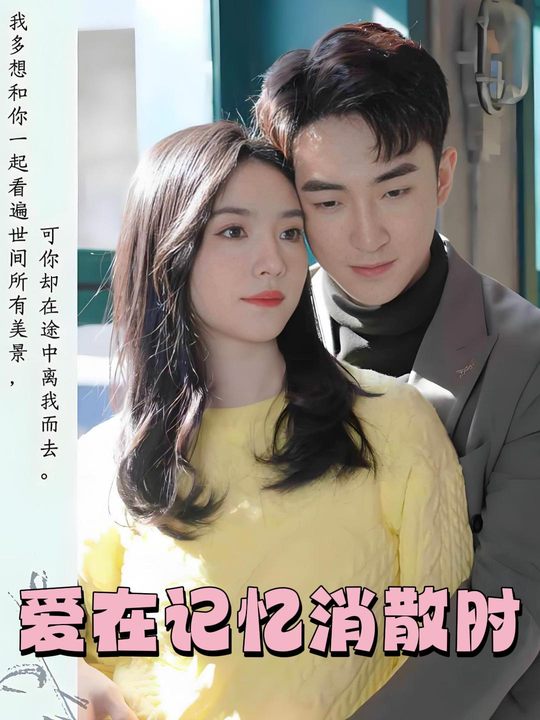 爱在记忆消散时封面