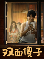 双面傻子封面