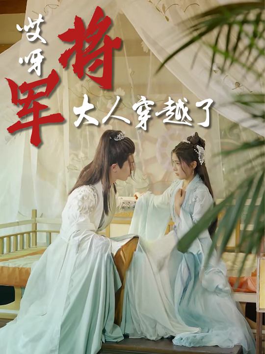 哎呀,将军大人穿越了封面