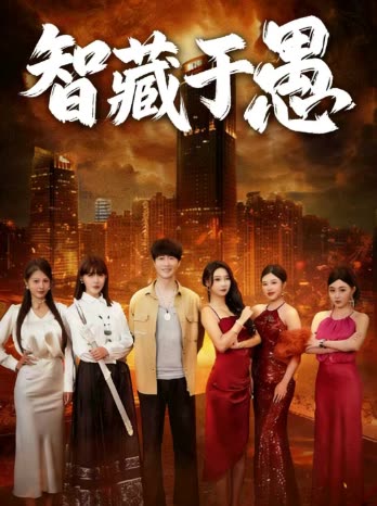 智藏于愚封面