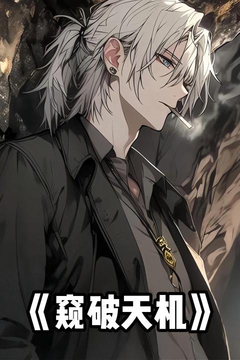 窥破天机封面