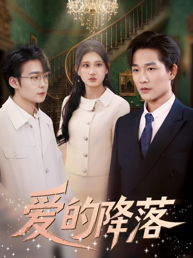 爱的降落封面