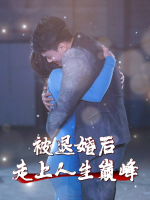 被退婚后走上人生巅峰封面