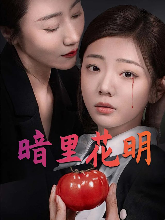暗里花明封面