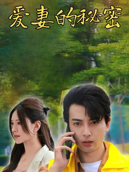 爱妻的秘密封面