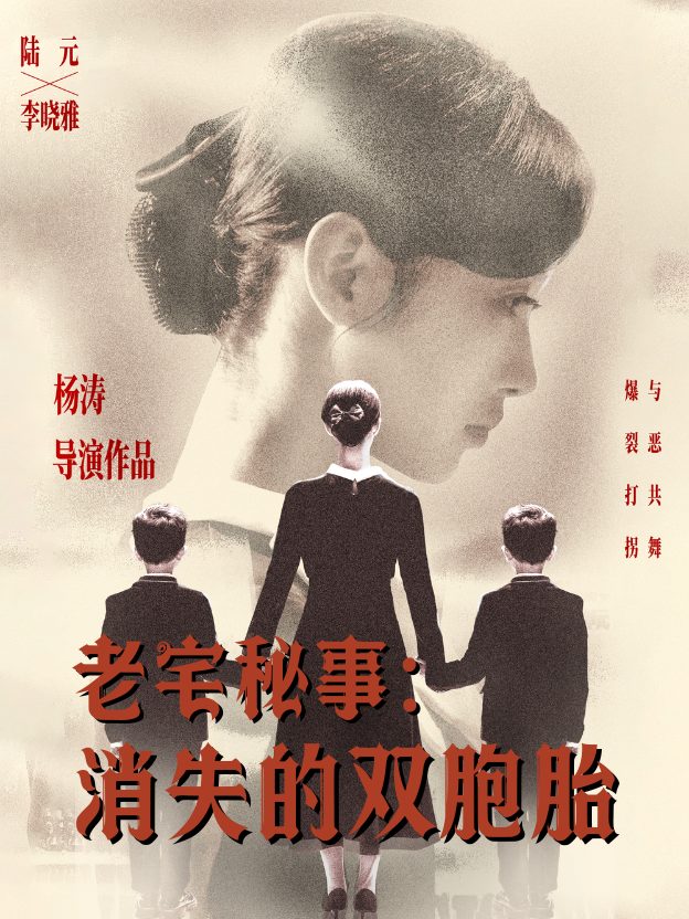 老宅秘事:消失的双胞胎封面
