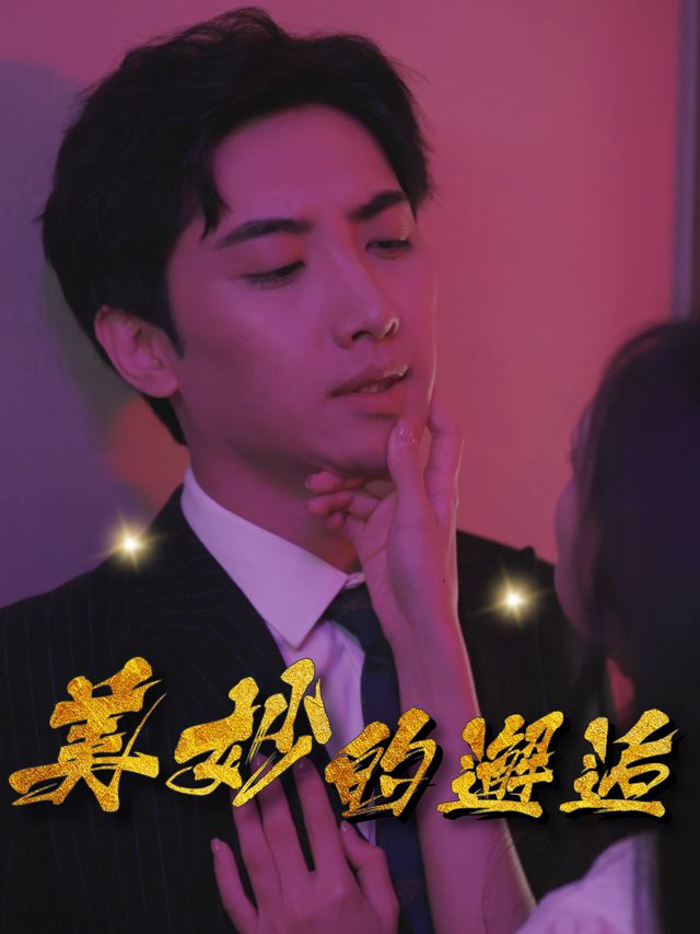 美妙的邂逅封面