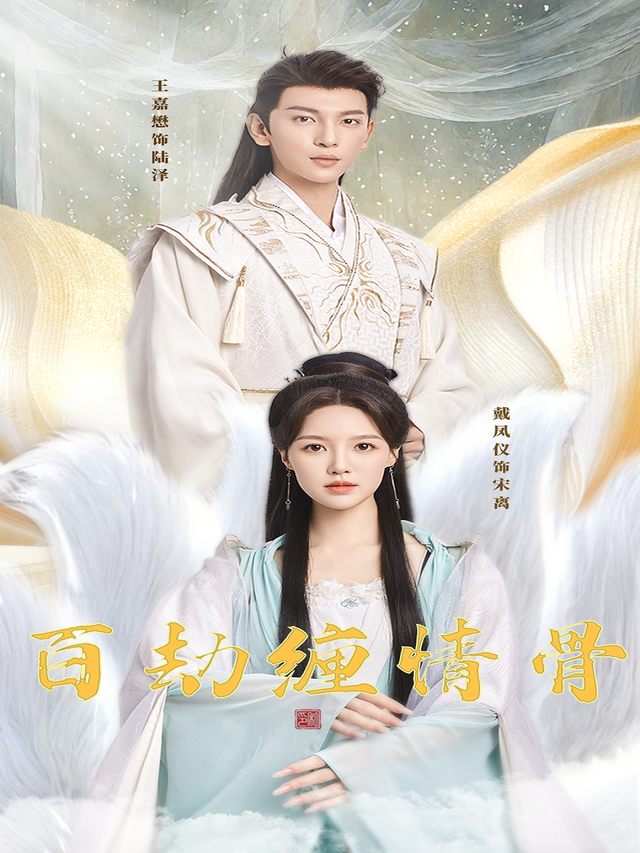 百劫缠情骨封面