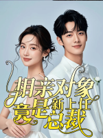 相亲对象竟是新上任总裁封面