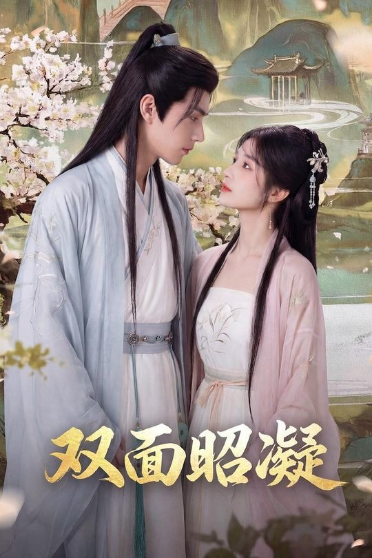 双面昭凝封面
