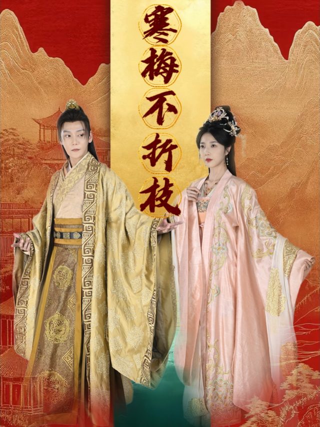 寒梅不折枝封面