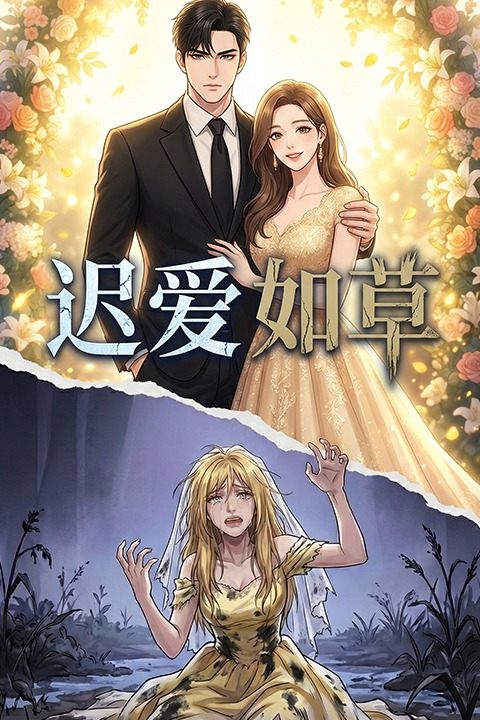 迟爱如草封面