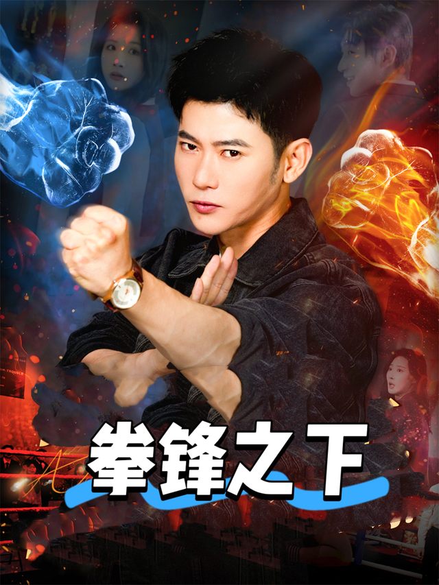 拳锋之下封面
