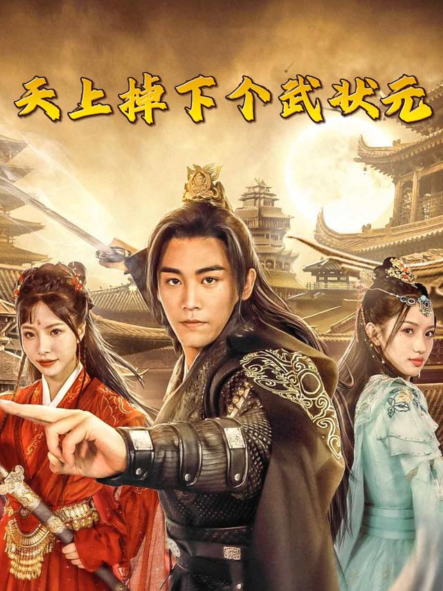 天上掉下个武状元封面