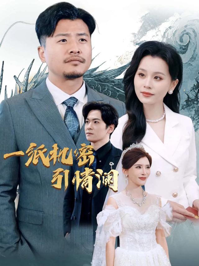 一纸机密引情澜封面