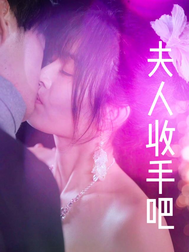 夫人收手吧封面