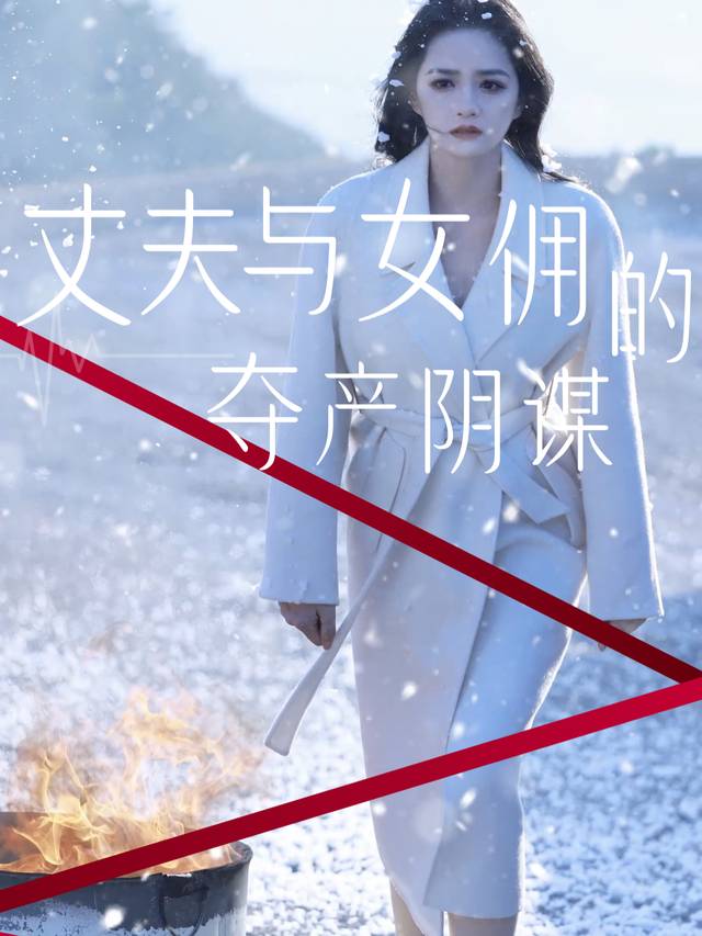 丈夫与女佣的夺产阴谋封面