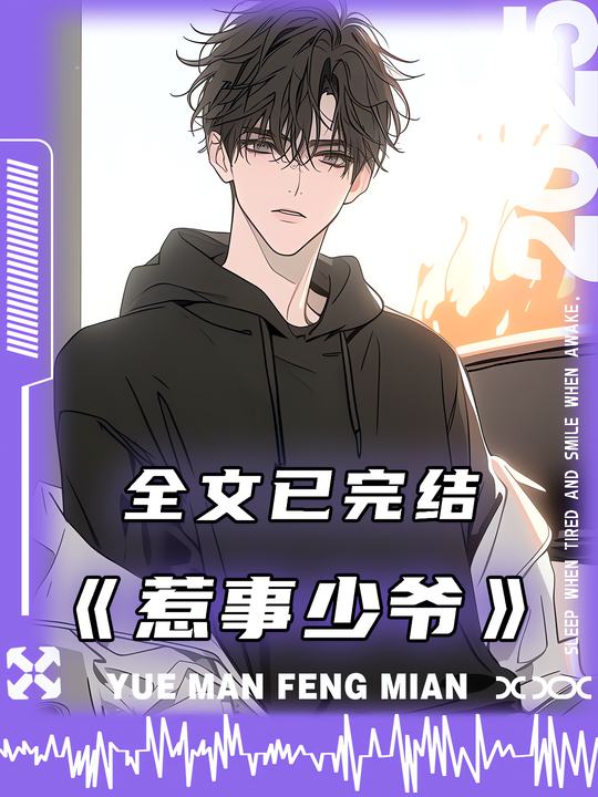 惹事少爷封面