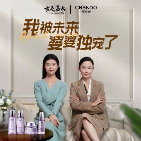 我被未来婆婆独宠了封面