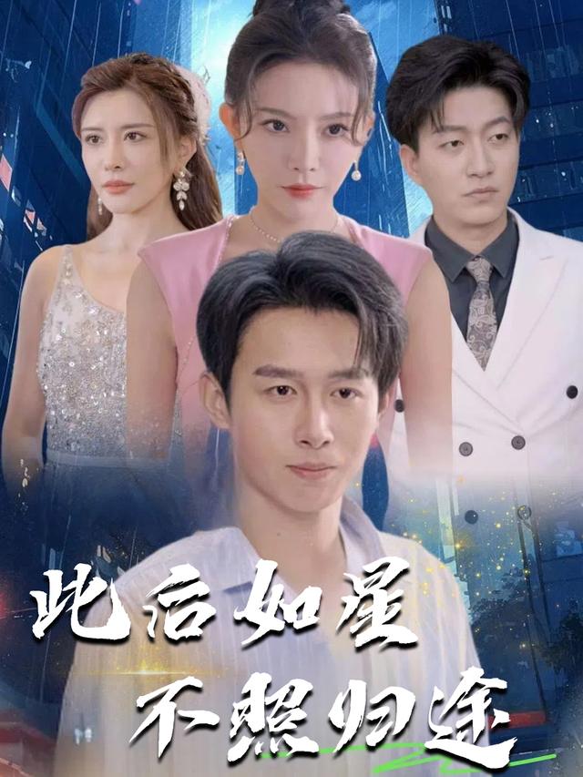 此后如星不照归途封面