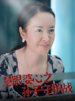 慧眼婆心之孙子守护战封面