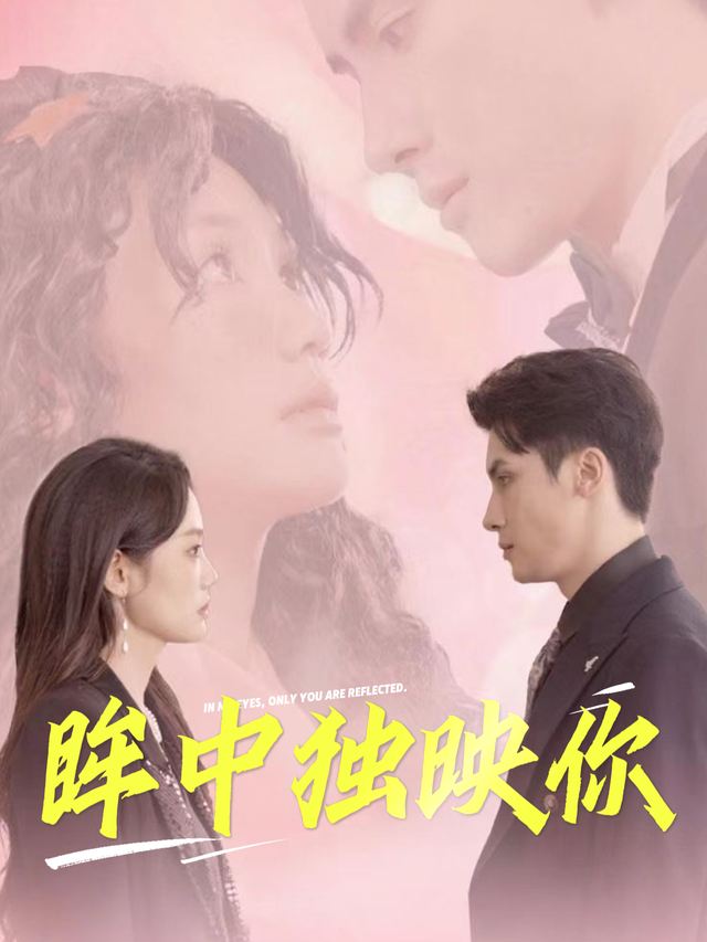 眸中独映你封面