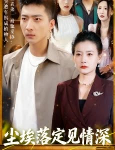 尘埃落定见情深封面