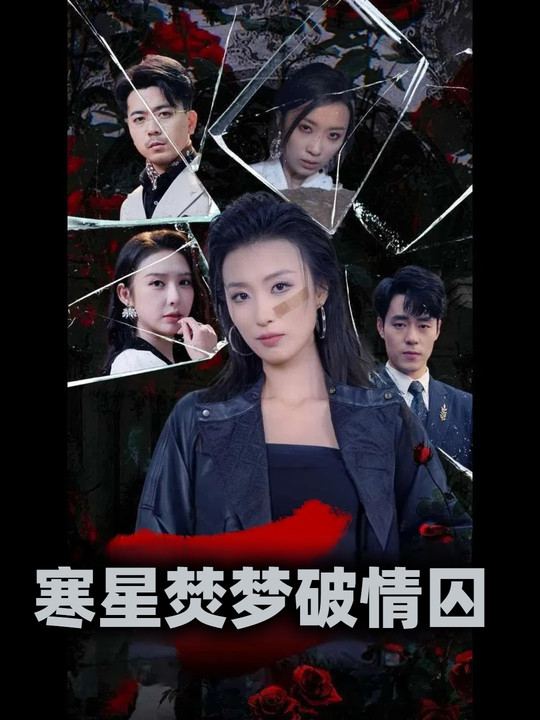 寒星焚梦破情囚封面