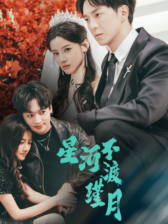 星河不渡瑾月封面