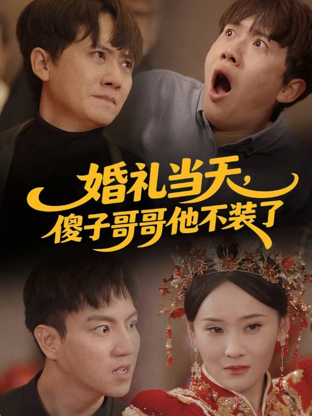 婚礼当天,傻子哥哥他不装了封面
