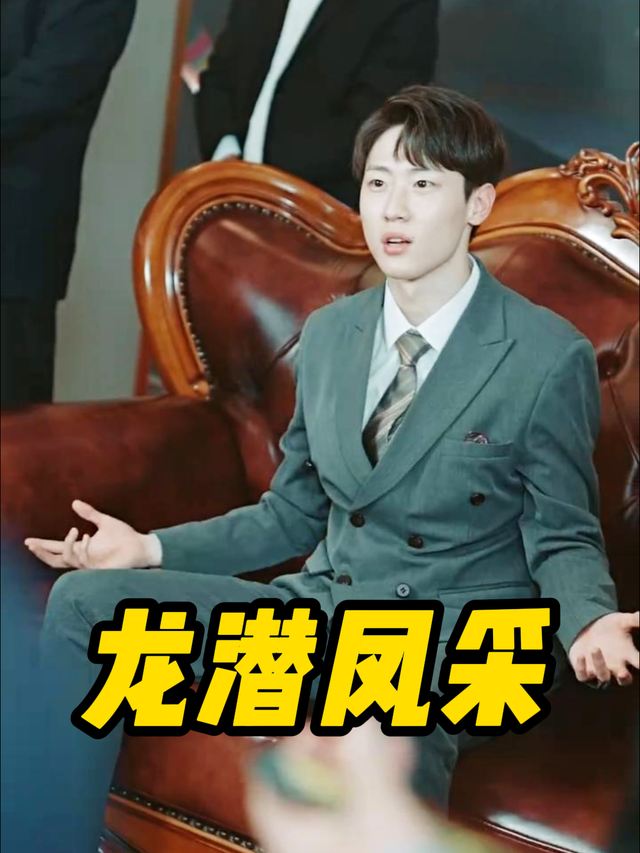 龙潜凤采封面
