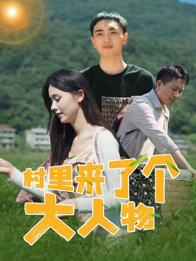 村里来了个大人物封面