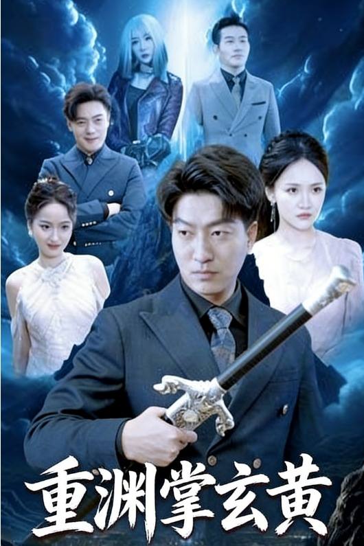 重渊掌玄黄封面