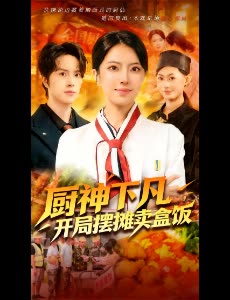 厨神下凡,开局摆摊卖盒饭封面