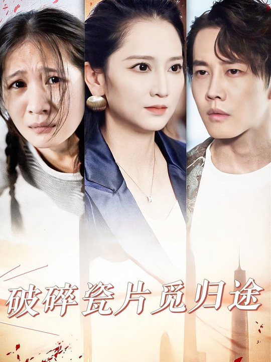 破碎瓷片觅归途封面